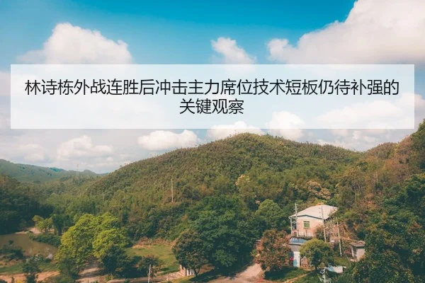 林诗栋外战连胜后冲击主力席位技术短板仍待补强的关键观察